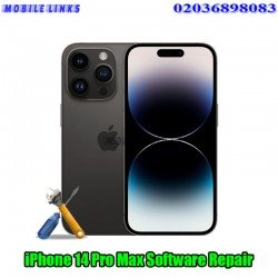 iPhone 14 Pro Max A2894 Software Repair